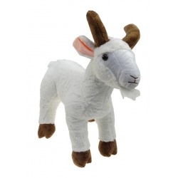 Kózka pluszak maskotka koza przytulanka 40 cm biała