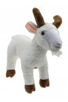 Kózka pluszak maskotka koza przytulanka 40 cm biała
